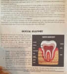 The Survival Medicine Handbook (2021 4th edition)